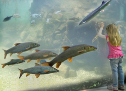 Wasserfest 2015 (Quelle: Josef Ruspeckhofer)