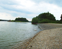 Badestelle Donau Ottensheim (Foto: Steiner Alexandra)