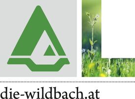 Logo Wildbach- und Lawinenverbauung