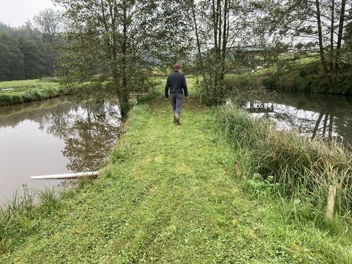 AMA Kontrolle AMA Kontrolle