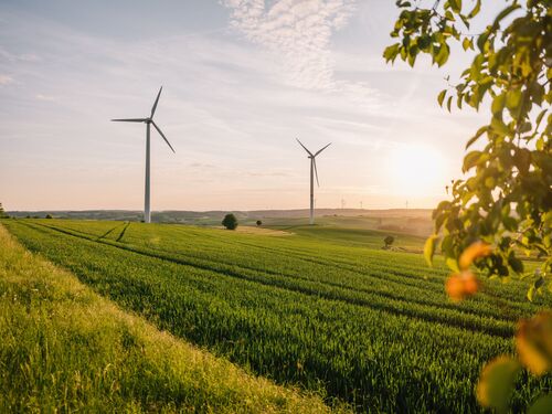 Windkraftanlagen auf Felder und Wiesen im Sonnenuntergang