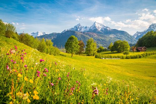 Berglandschaft mit blühenden Wiesen und Bäumen Berglandschaft mit blühenden Wiesen und Bäumen