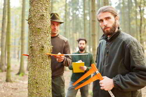 Drei Förster bei der Arbeit im Wald