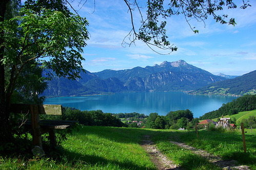 Blick von einem Hügel auf den Attersee