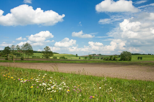 Wiesen- und Felder-Landschaft bei Sonnenschein im Frühling
