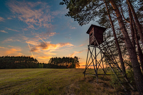 Jagdstand am Waldrand mit Blick auf eine Wiese