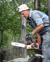 Arbeiter beim Umsägen eines Baumes (Foto: Bilderbox) 