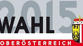 Logo Wahl 2015