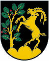 Wappen der Gemeinde Pabneukirchen