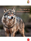 Der Wolf in Oberösterreich