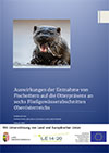 Auswirkungen der Entnahme von Fischottern auf die Otterpräsenz an sechs Fließgewässerabschnitten Oberösterreichs