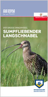 Der Große Brachvogel - Sumpfliebender Langschnabel