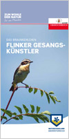 Das Braunkehlchen - Flinker Gesangs-Künstler