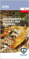 Der Steinkrebs - Gesundheits-Polizist des Wassers