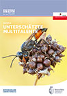 Unterschätzte Multitalente - Wespen